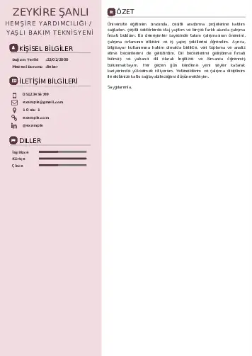 Hasta ve Yaşlı Bakım Elemanı Cv Örnekleri cv indir